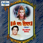 Om Nama Shivay Shivdhun