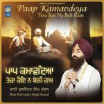 Paap Kamavdeya Tera Koi Na Beli Ram