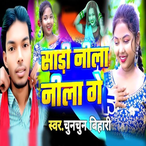 Sari Neela Neela Ge