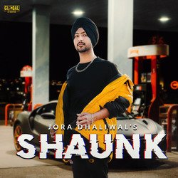 Shaunk-QiQIQxd9UkU