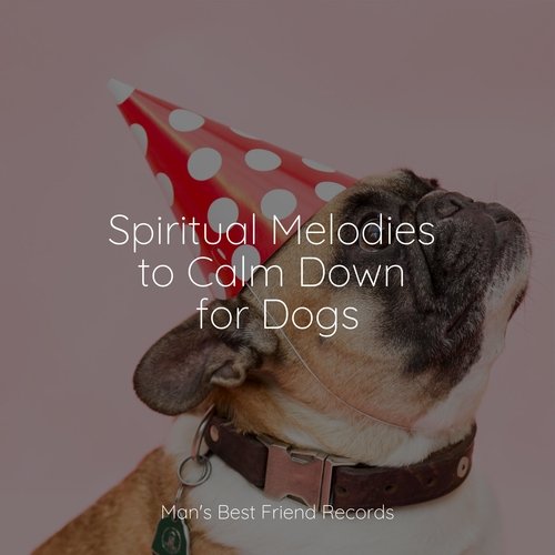 Spiritual Melodies to Calm Down for Dogs