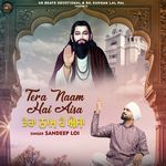 Tera Naam Hai Aisa