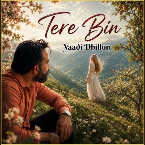 Tere Bin