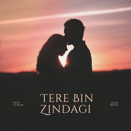 Tere Bin Zindagi
