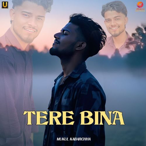 Tere Bina