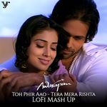 Toh Phir Aao Tera Mera Rishta (Lofi Mash Up)