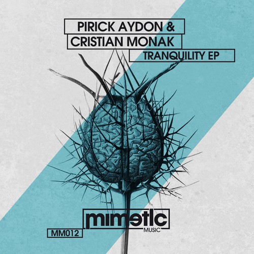  Pirick Aydon