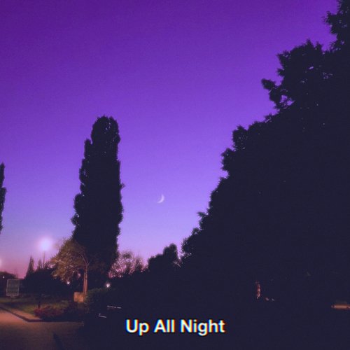 Up All Night_poster_image