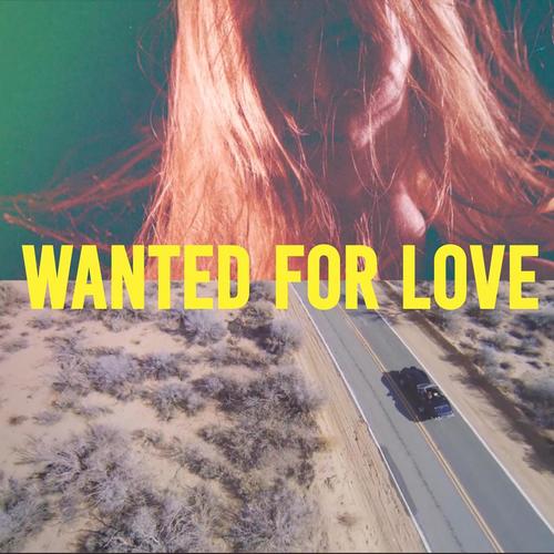 Wanted for Love (feat. Shatyr)