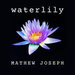 Waterlily (Solo Guitar)