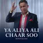 Ya Ali Ya Ali Chaar Soo