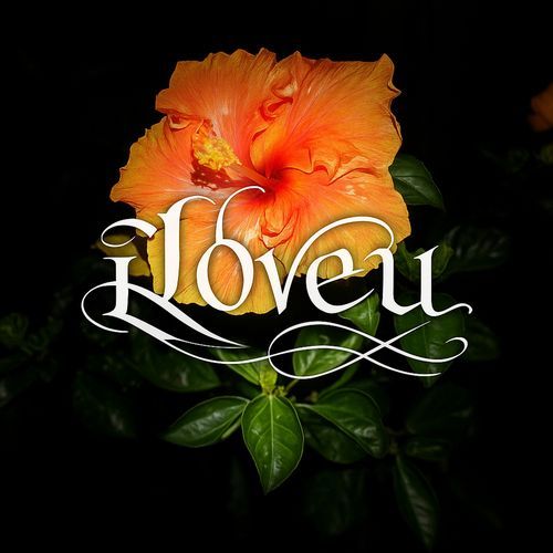 iloveu cover art
