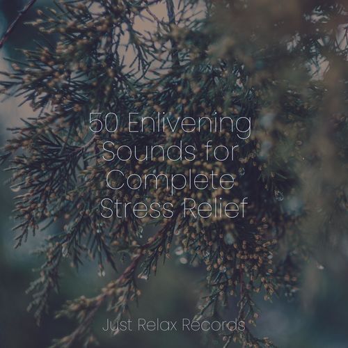 50 Enlivening Sounds for Complete Stress Relief