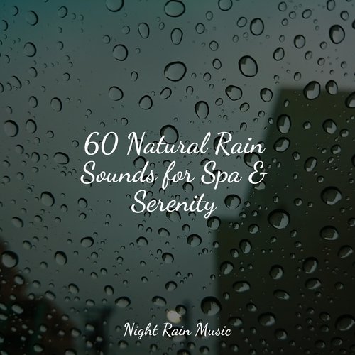 Rain, Storm and Thunder cover art
