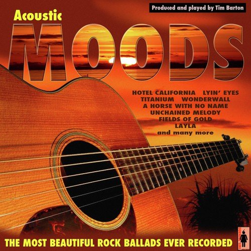 Tim Barton's Acoustic Dreams