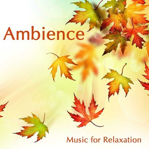 Ambience Sounds of Nature Specialists