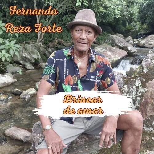 Forró do Zé Vicente cover art