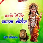 Charno Me Tere Kanya Shakti