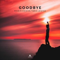 Goodbye (8D Audio)-MSNSVTxRWwI