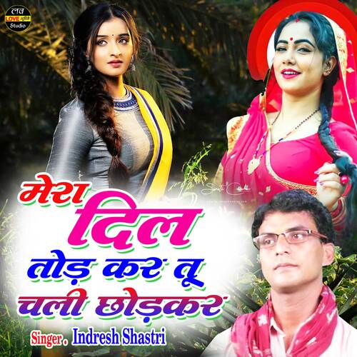 Mera Dil Tod Kar Tu Chali Chhodkar (Hindi)