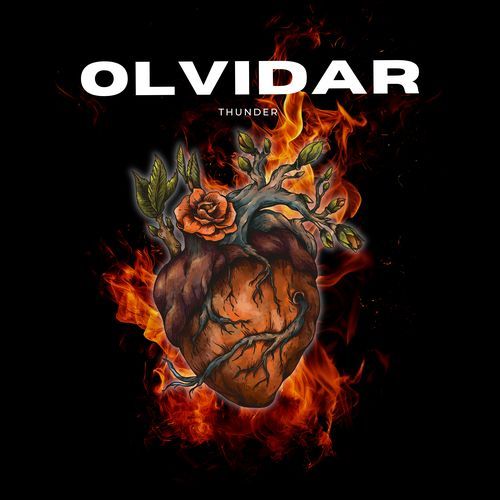 Olvidar_poster_image