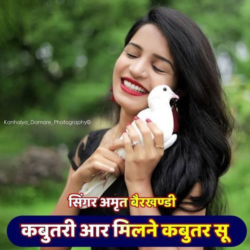 कब�ूतरी आर मिलने कबुतर सु