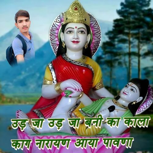 उड़ जा उड़ जा बनी का काला काग नारायण आया पावणा