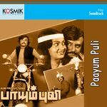 Pothukkittu Oothuthadi