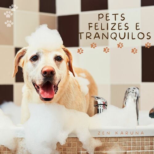 Música para cães e gatos de molho em casa cover art