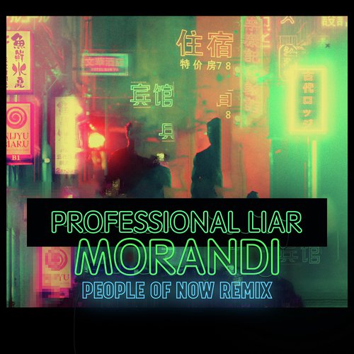 Professional Liar (People of Now Remix)