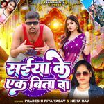 Saiya Ke Ek Bita Ba