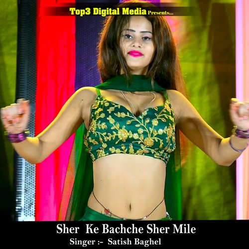 Sher Ke Bachche Sher Mile