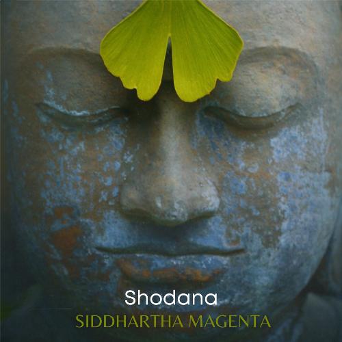 fight your prajna paradha cover art