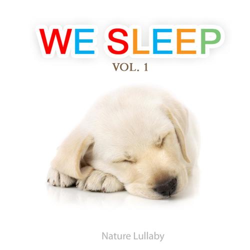 Dog Sleep Sounds