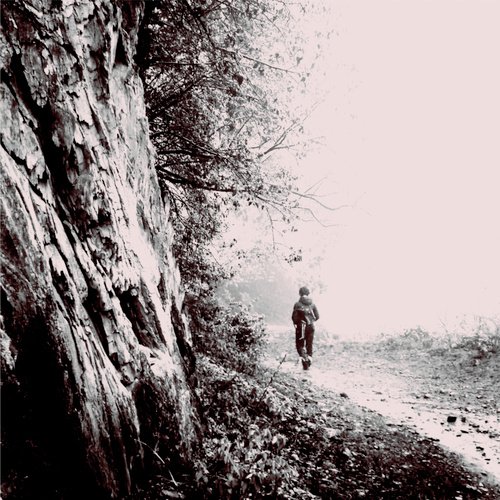 Cant Run cover art