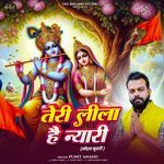 Teri Leela Hai Nayri