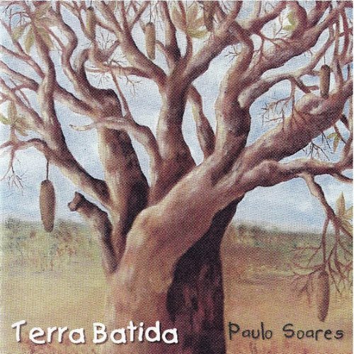 Terra Batida_poster_image