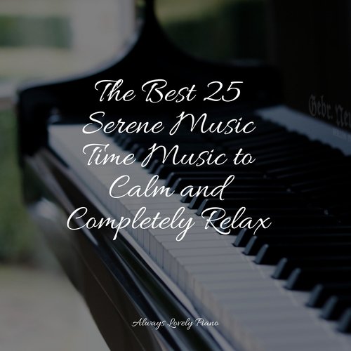 The Best 25 Serene Music Time Music to Calm and Completely Relax