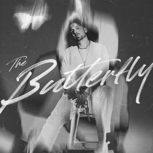 The Butterfly_poster_image