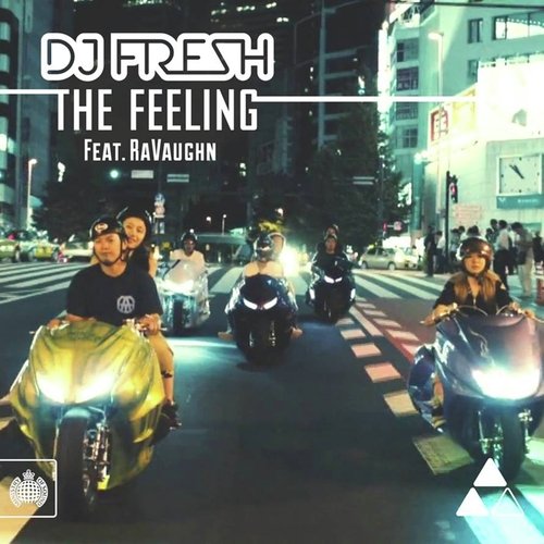 The Feeling (The Young Punx Vocal Mix)