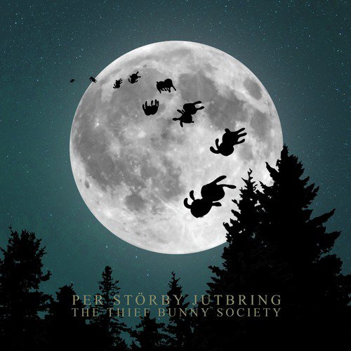 The Thief Bunny Society cover art