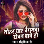 Tohar Yar Baiganava Rovat Bave Ho