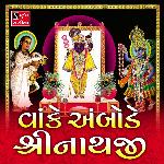 Vanke Ambode Shrinathji