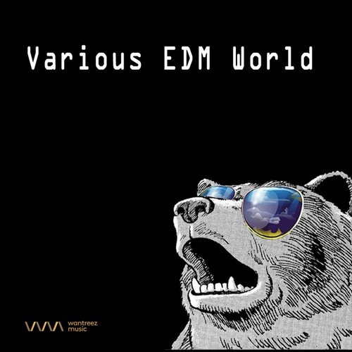 Various EDM World