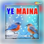 Yaara Re Yaara Re
