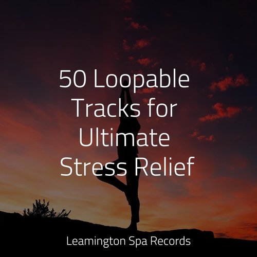 50 Loopable Tracks for Ultimate Stress Relief