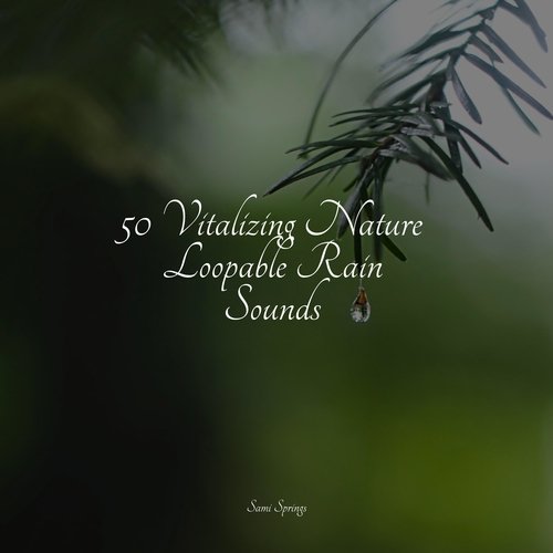 50 Natural Rain Sounds for Chilling Out_poster_image