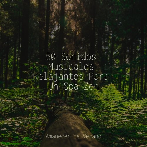 50 Sonidos Musicales Relajantes Para Un Spa Zen