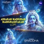 Adharam Madhuram Madhurashtakam Lofi