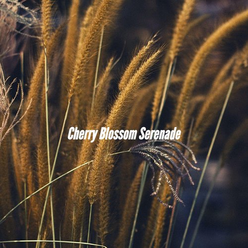 Cultivated Moods for Sunrise Coffee cover art